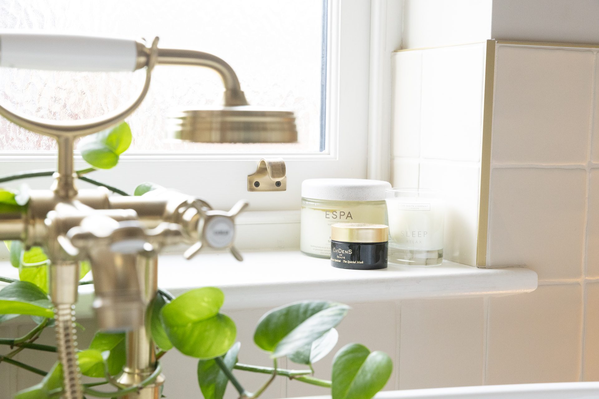 A pothos plant trailing above brass fittings in the guest bathroom